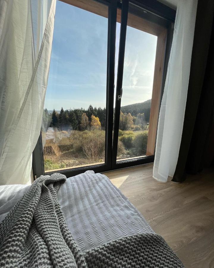 Vila Dvorecna Villa Loučovice Eksteriør billede