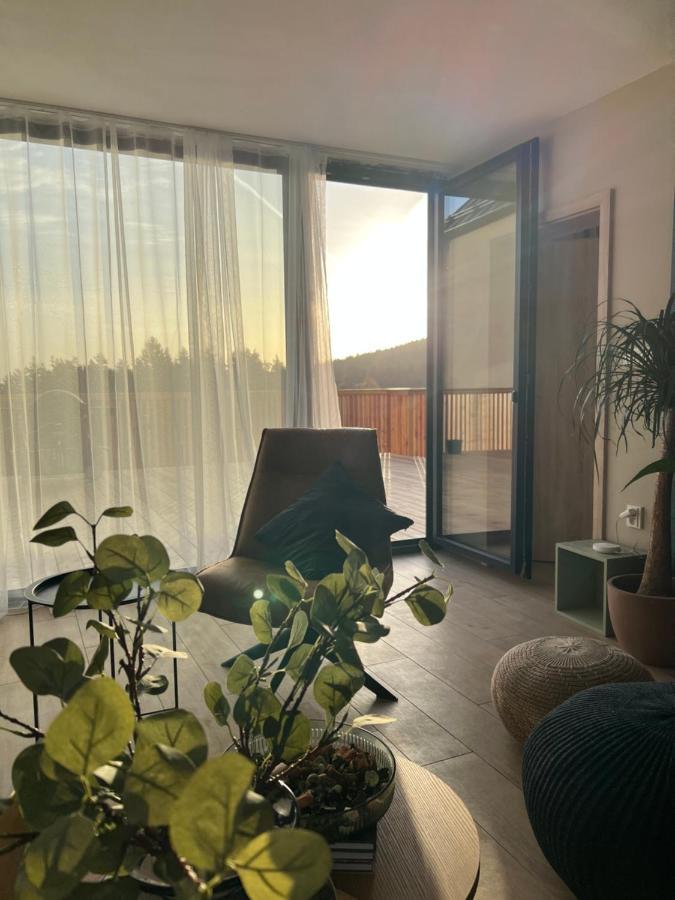 Vila Dvorecna Villa Loučovice Eksteriør billede