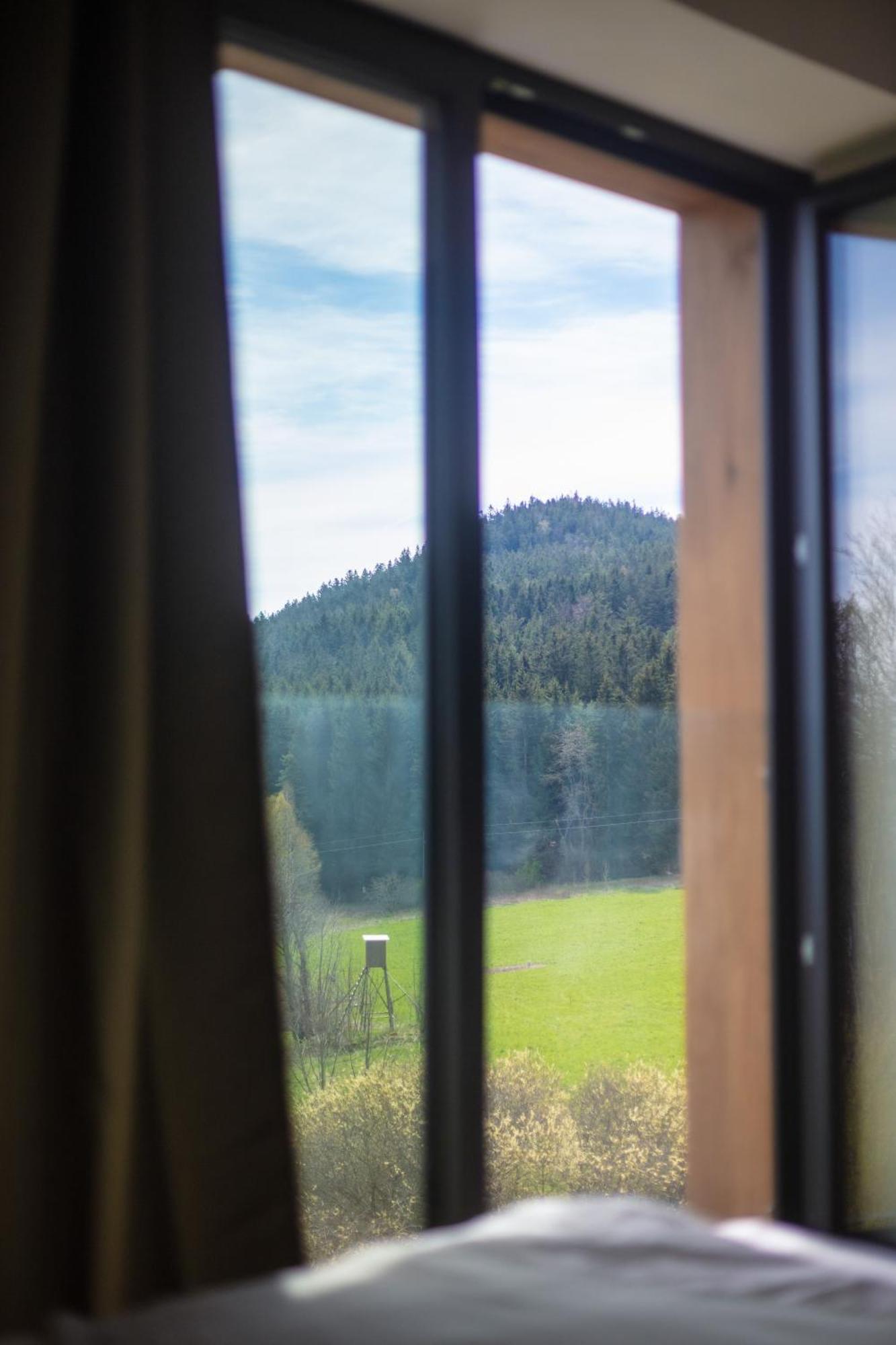 Vila Dvorecna Villa Loučovice Eksteriør billede