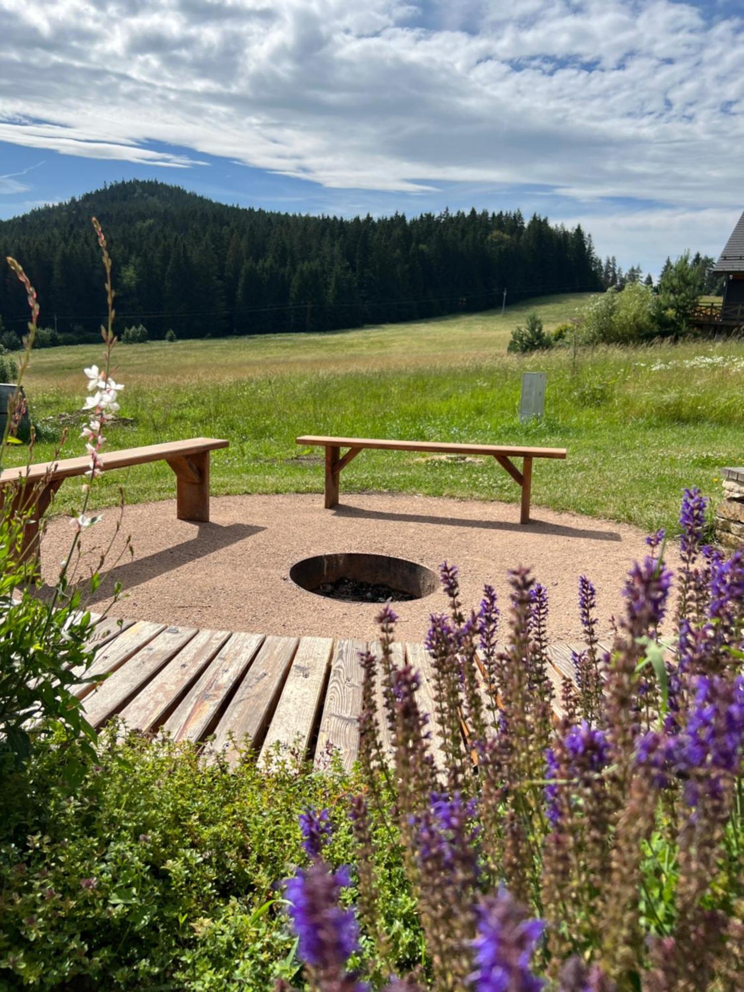 Vila Dvorecna Villa Loučovice Eksteriør billede