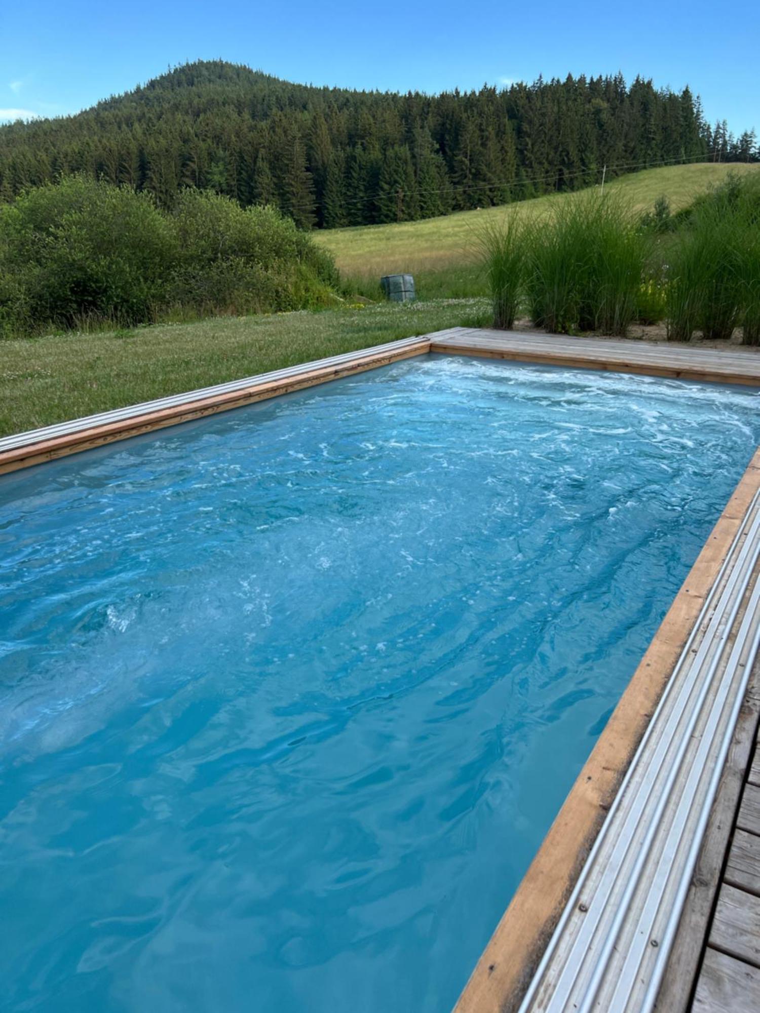 Vila Dvorecna Villa Loučovice Eksteriør billede